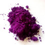 034 Purple