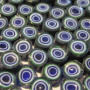 Opaque 111 blue green bullseye millefiori