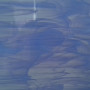 040. Wispy blue semi transparent glass sheet