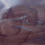211. Wispy Plum glass sheet
