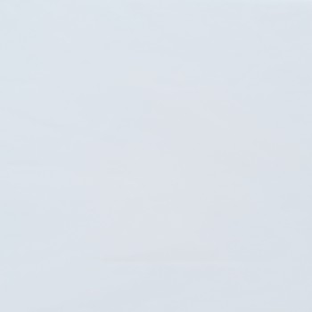 220. White glass sheet