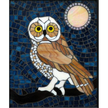 Wood, Judy : Norther Saw-Whet Owl
