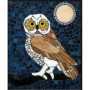 Wood, Judy : Norther Saw-Whet Owl