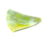 RP005   200g