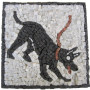 Cave Canem LARGE marble mosaic kit