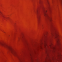 131 Autumn Red Mirror