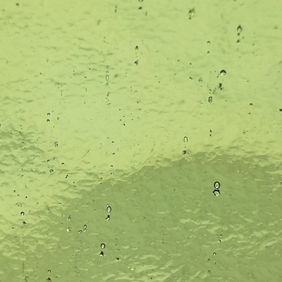 210 Green 1 Mirror