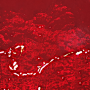 121 Red Mirror