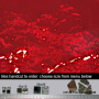 121. Red mirror tiles