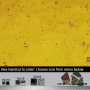 171. Yellow 1 mirror tiles